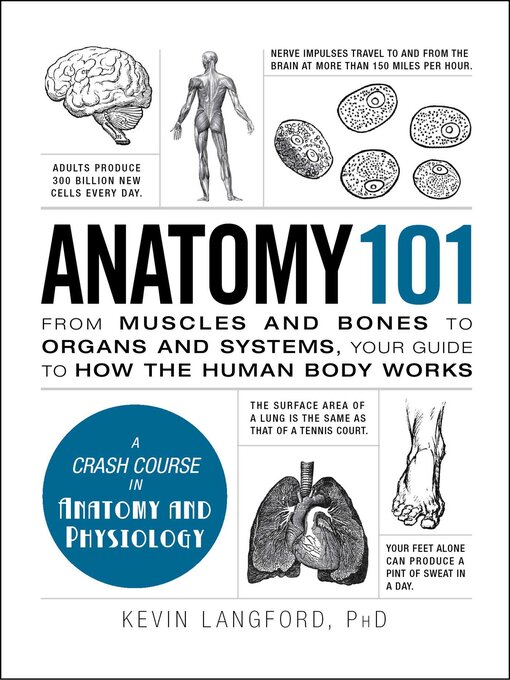 Title details for Anatomy 101 by Kevin Langford - Wait list